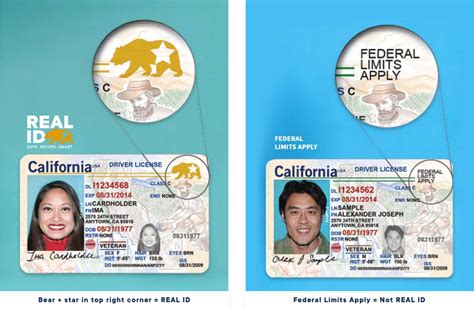 california dmv standard id card